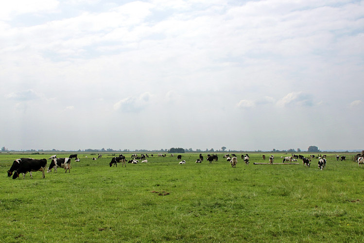 9-6-2018 - Proeverij in zomersfeer door de PLUS in Waarder_05